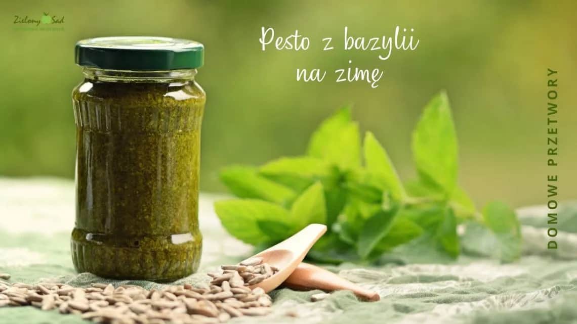 Jak zrobić pesto z bazylii na zimę - prosta receptura na zapas